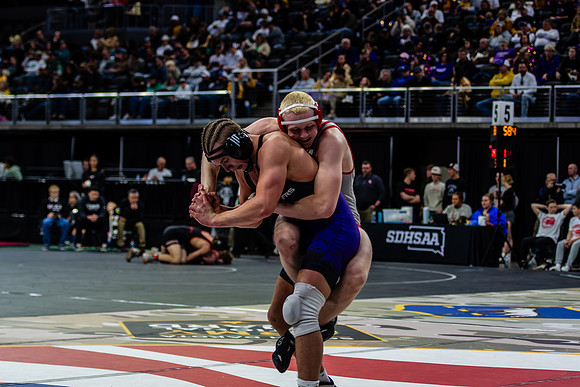 SRP_3010