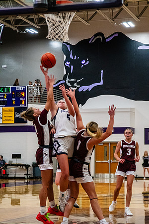 SRP_4689
