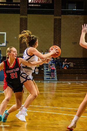 SRP_3041