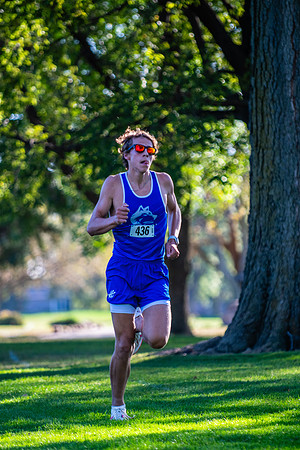 SRP_3433